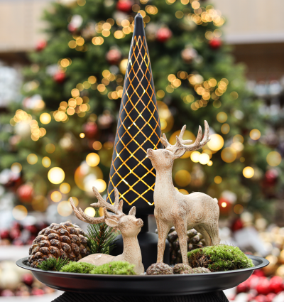 <? $page->title() ?>