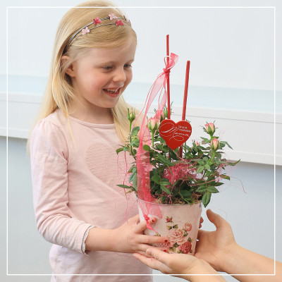 <? $page->title() ?>