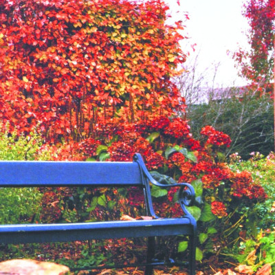 <? $page->title() ?>