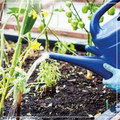 <? $page->title() ?>