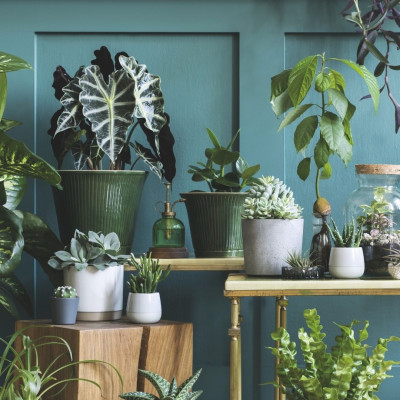 <? $page->title() ?>