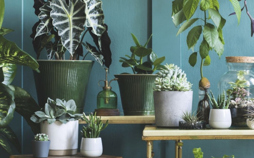 <? $page->title() ?>