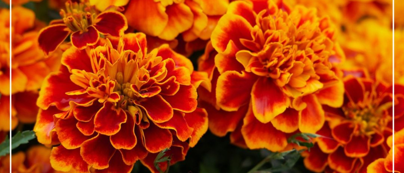 Das richtige Pl&auml;tzchen