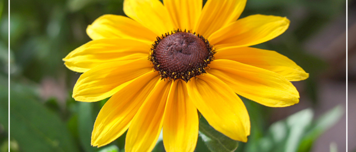 Dauerhaft sch&ouml;n!