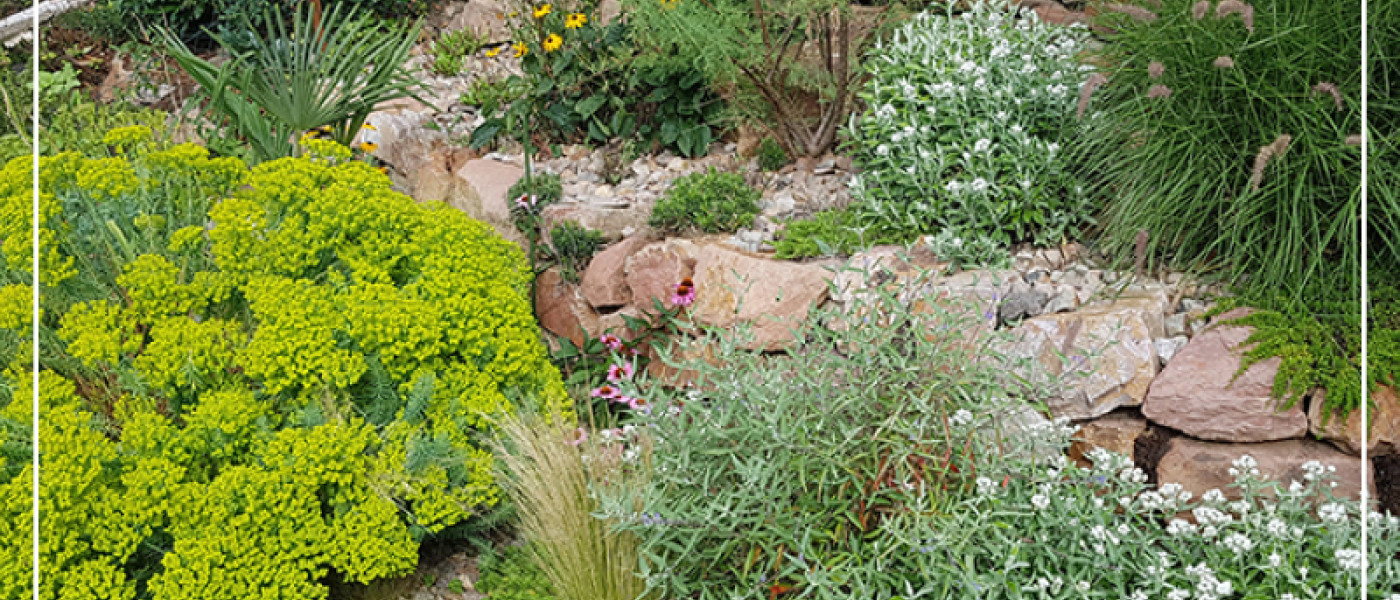 Der bl&uuml;hende Steingarten
