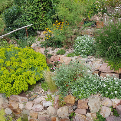 <? $page->title() ?>