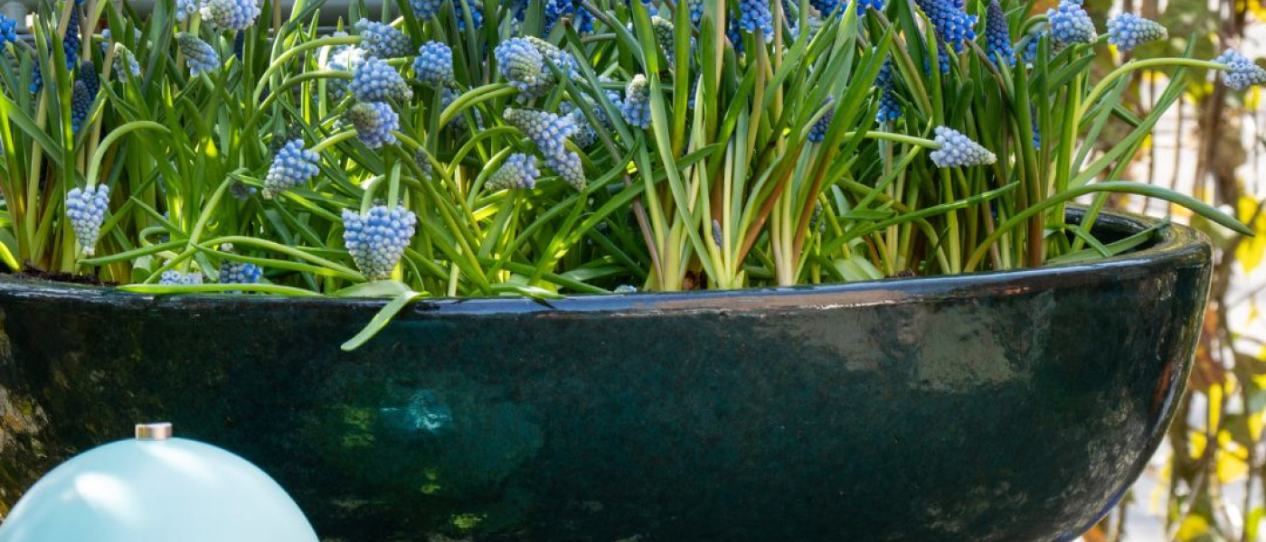 Der Fr&uuml;hlingszauber beginnt jetzt