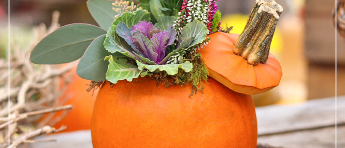 Der K&uuml;rbis &ndash; eine Frucht mit langer Tradition!