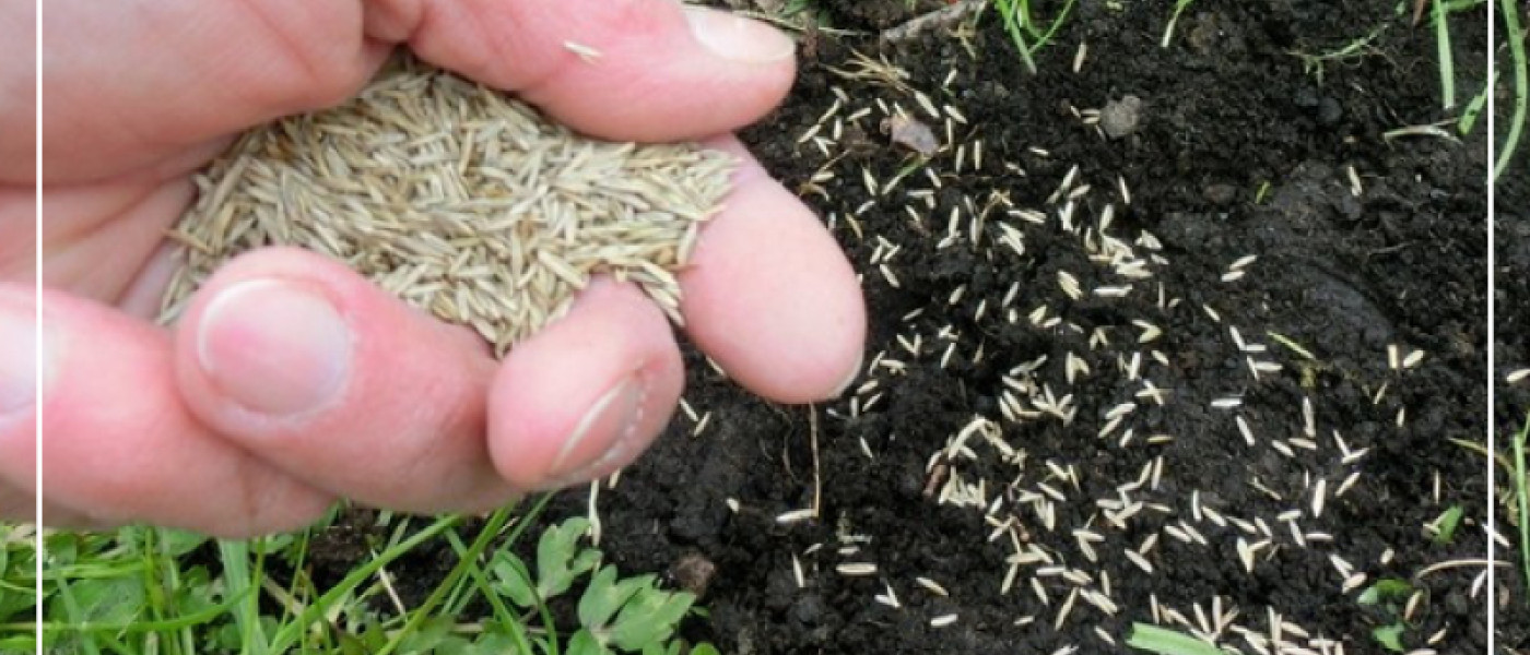 Die Fr&uuml;hjahrskur f&uuml;r den Rasen