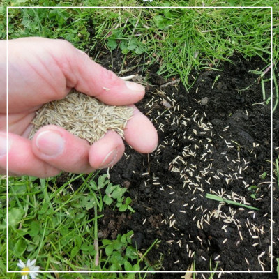 <? $page->title() ?>