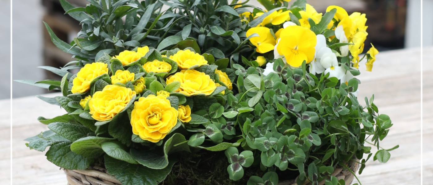 Die richtige Zusammenstellung &ndash; So werden deine K&auml;sten und K&uuml;bel richtig sch&ouml;n