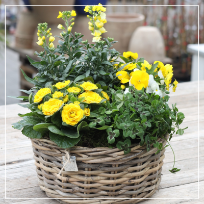 <? $page->title() ?>