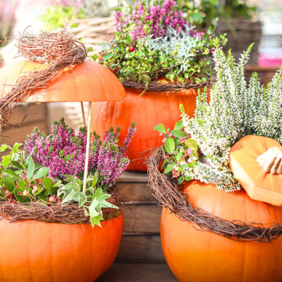 <? $page->title() ?>