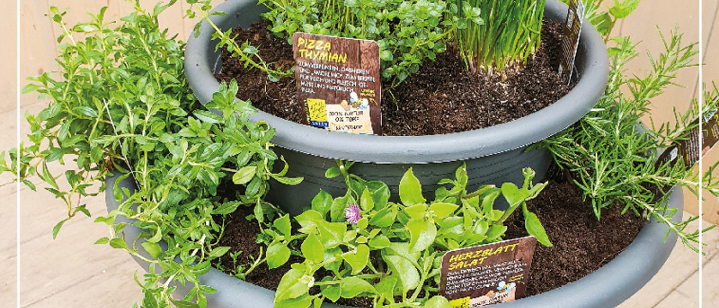 DIY Kräutergarten - ganz einfach selber machen!