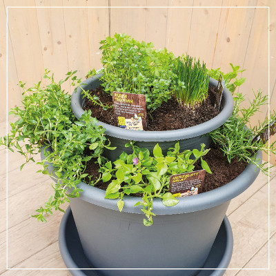 <? $page->title() ?>