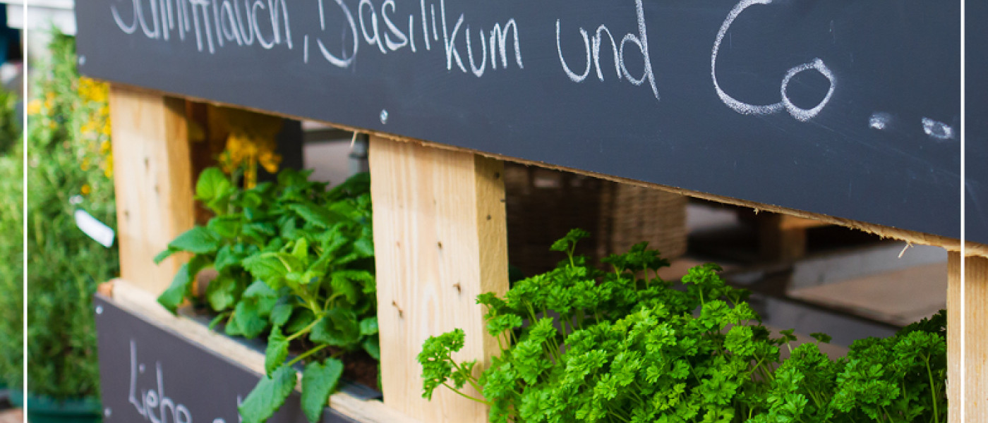 DIY-Kr&auml;uterpalette