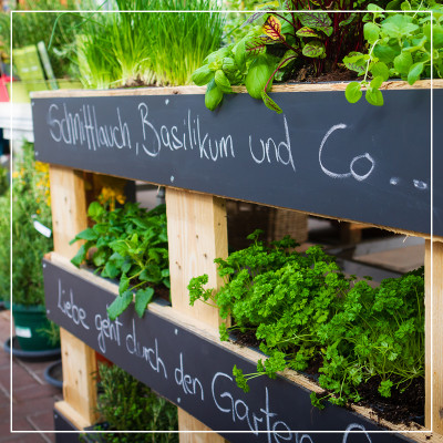 <? $page->title() ?>