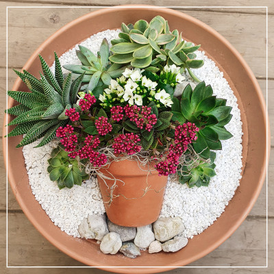 <? $page->title() ?>