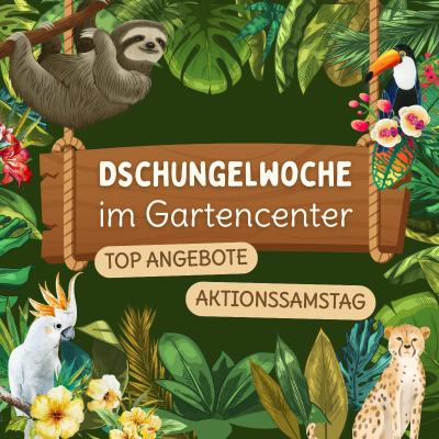 <? $page->title() ?>