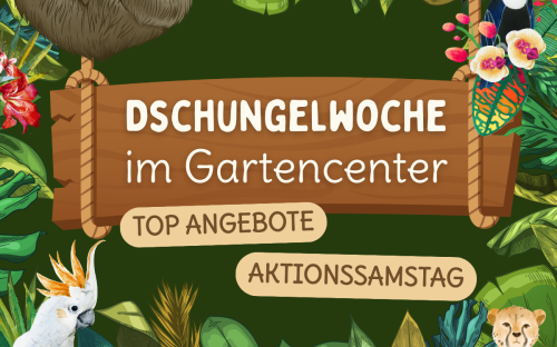 <? $page->title() ?>