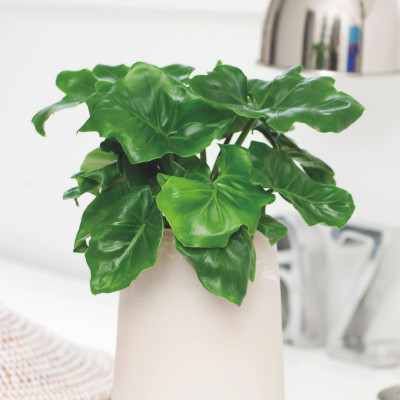 <? $page->title() ?>