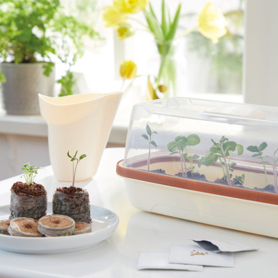 <? $page->title() ?>