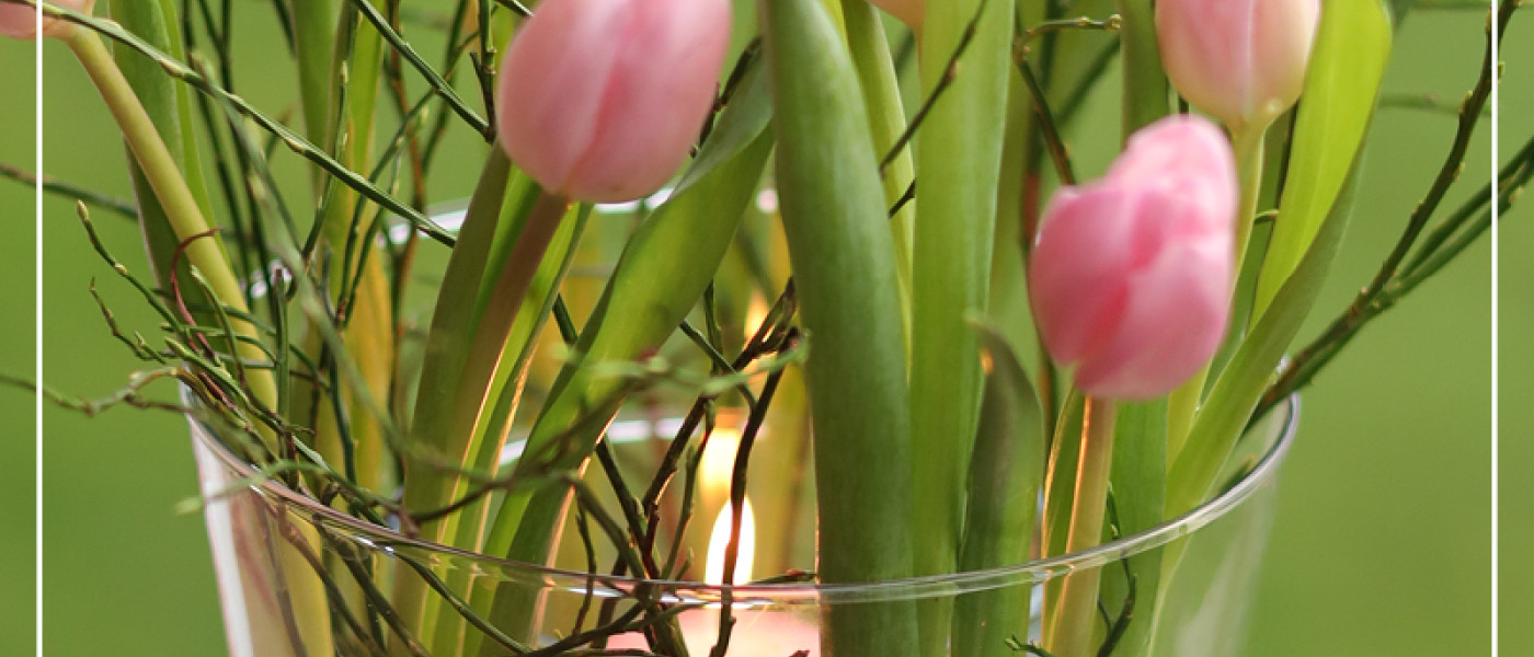 Ein Strauß Tulpen, bitte!