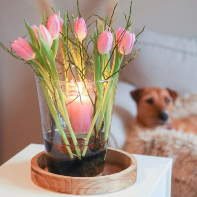 <? $page->title() ?>