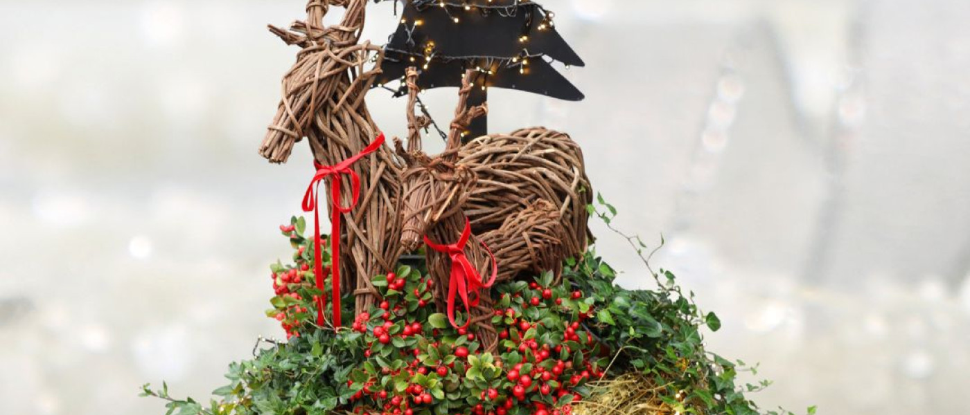 Einladender Lichterglanz – so wird eure Eingangstür zum festlichen Willkommensgruß