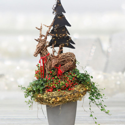 <? $page->title() ?>