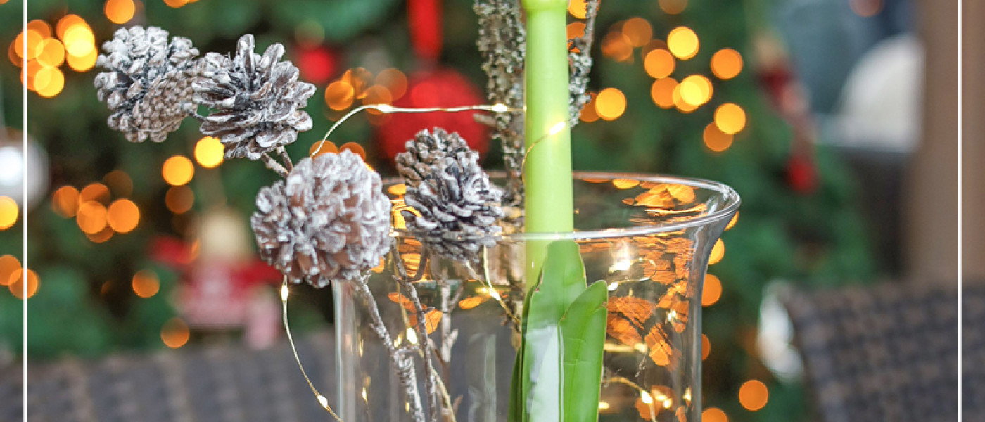 Eleganter Bl&uuml;tenzauber zum Weihnachtsfest