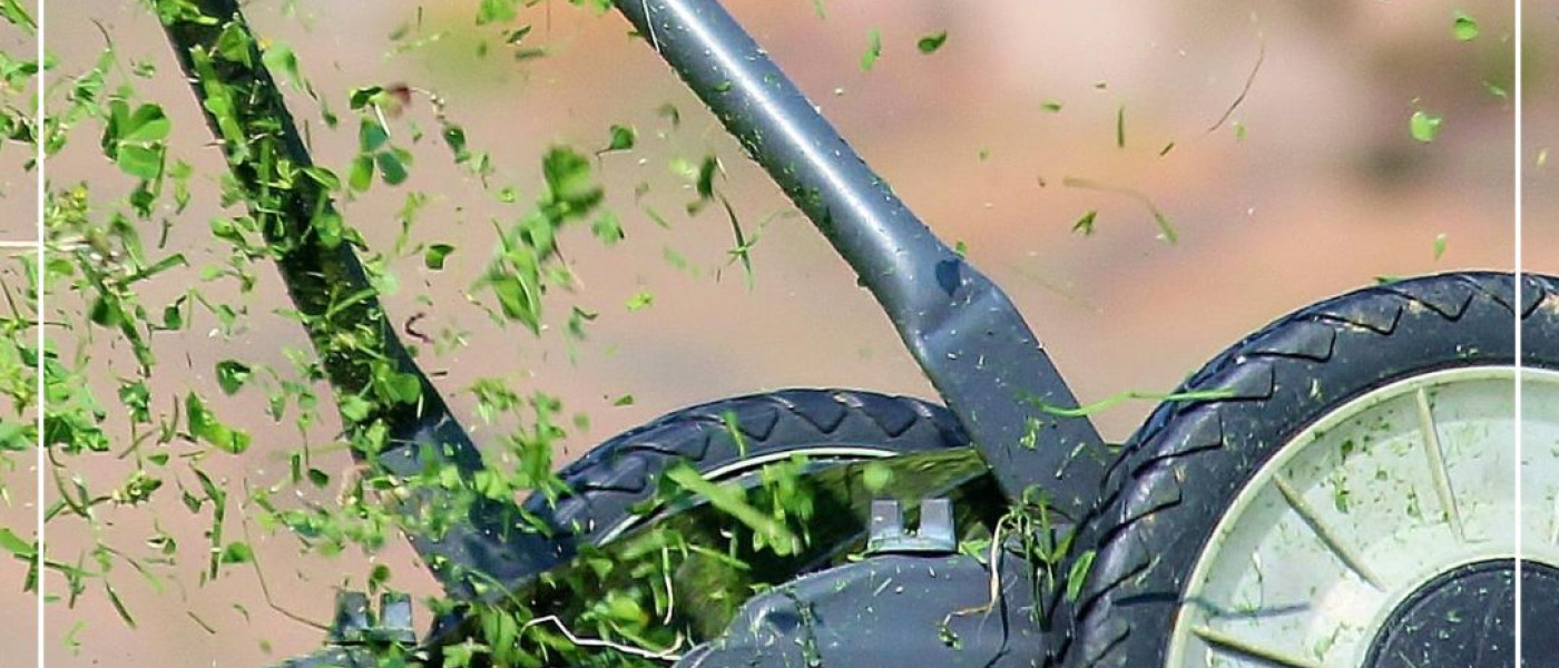 Erste Hilfe f&uuml;r den Fr&uuml;hlings-Rasen