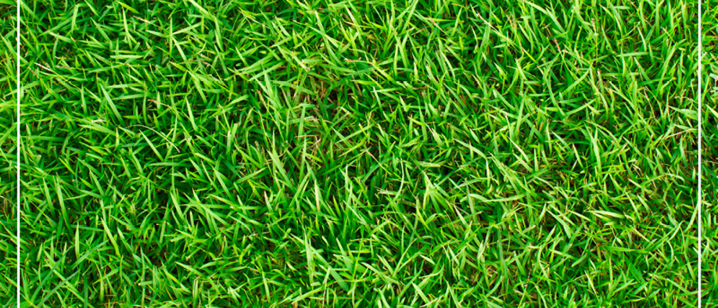 Erste Hilfe f&uuml;r den Rasen