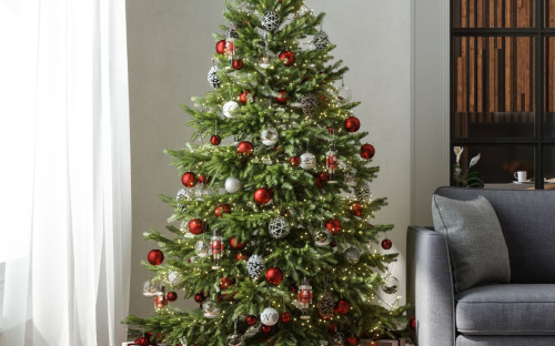 <? $page->title() ?>