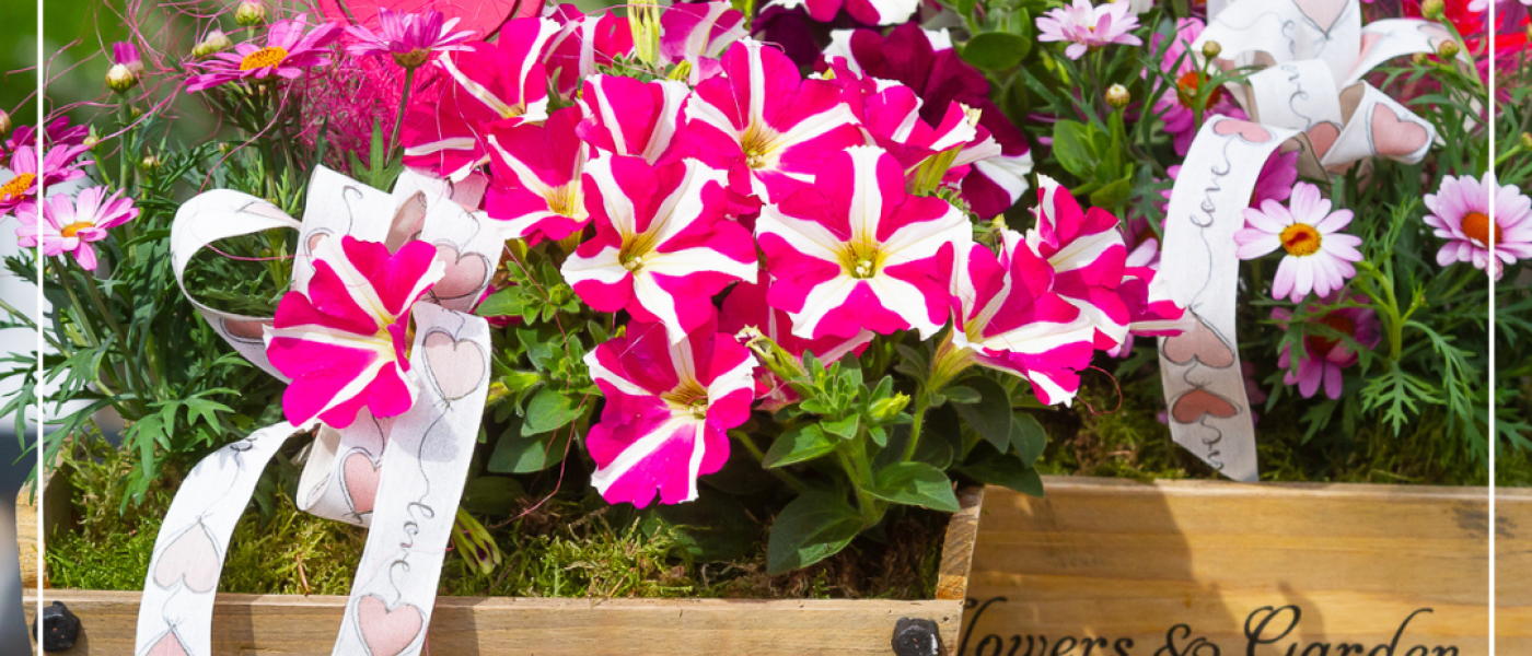 Flowerpower zum Muttertag