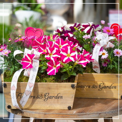 <? $page->title() ?>