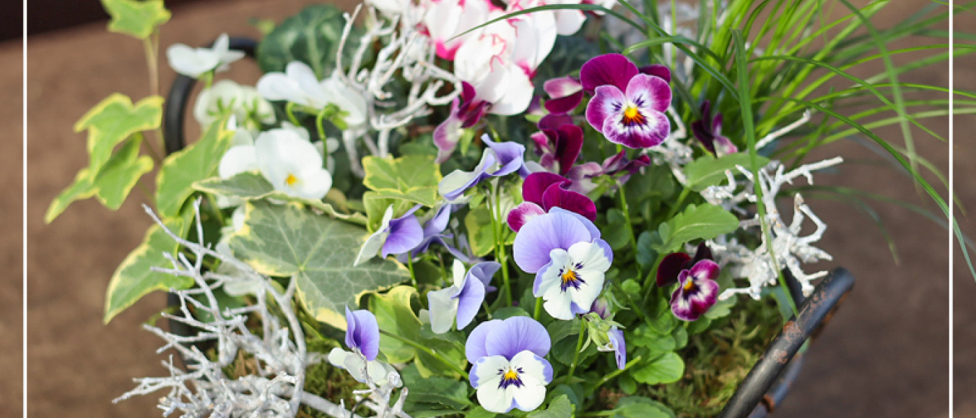 Frische Herbstt&ouml;ne f&uuml;r triste Tage