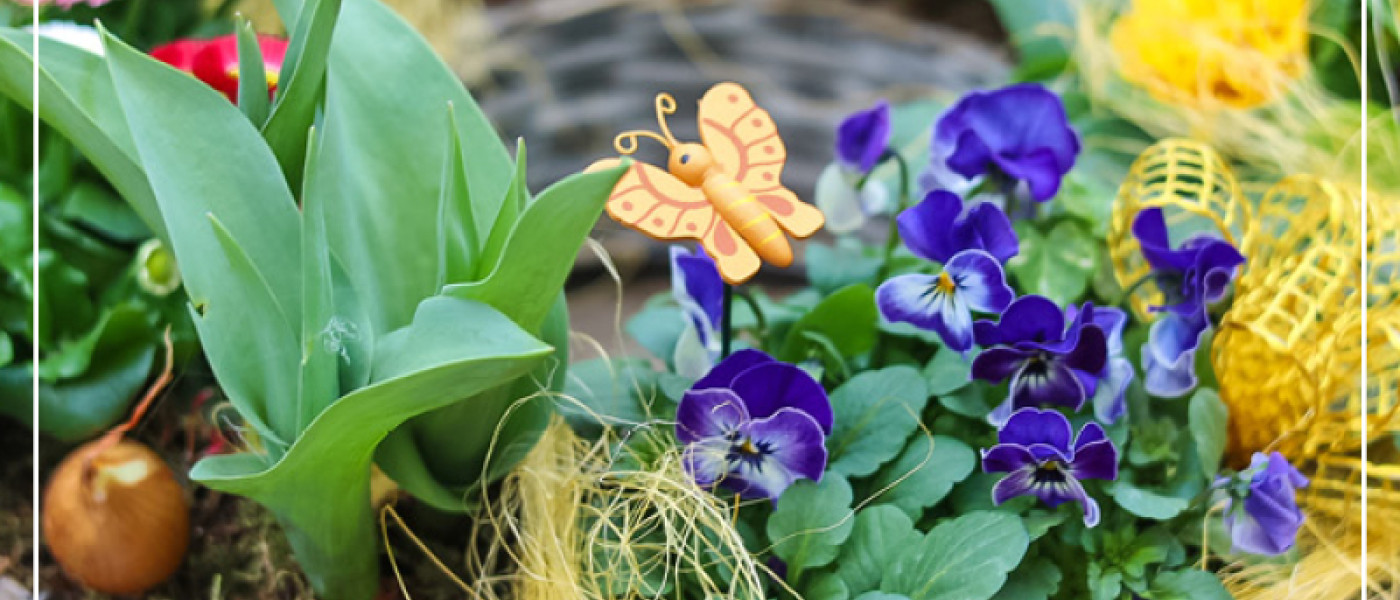 Fr&ouml;hlich bepflanzte Ringe