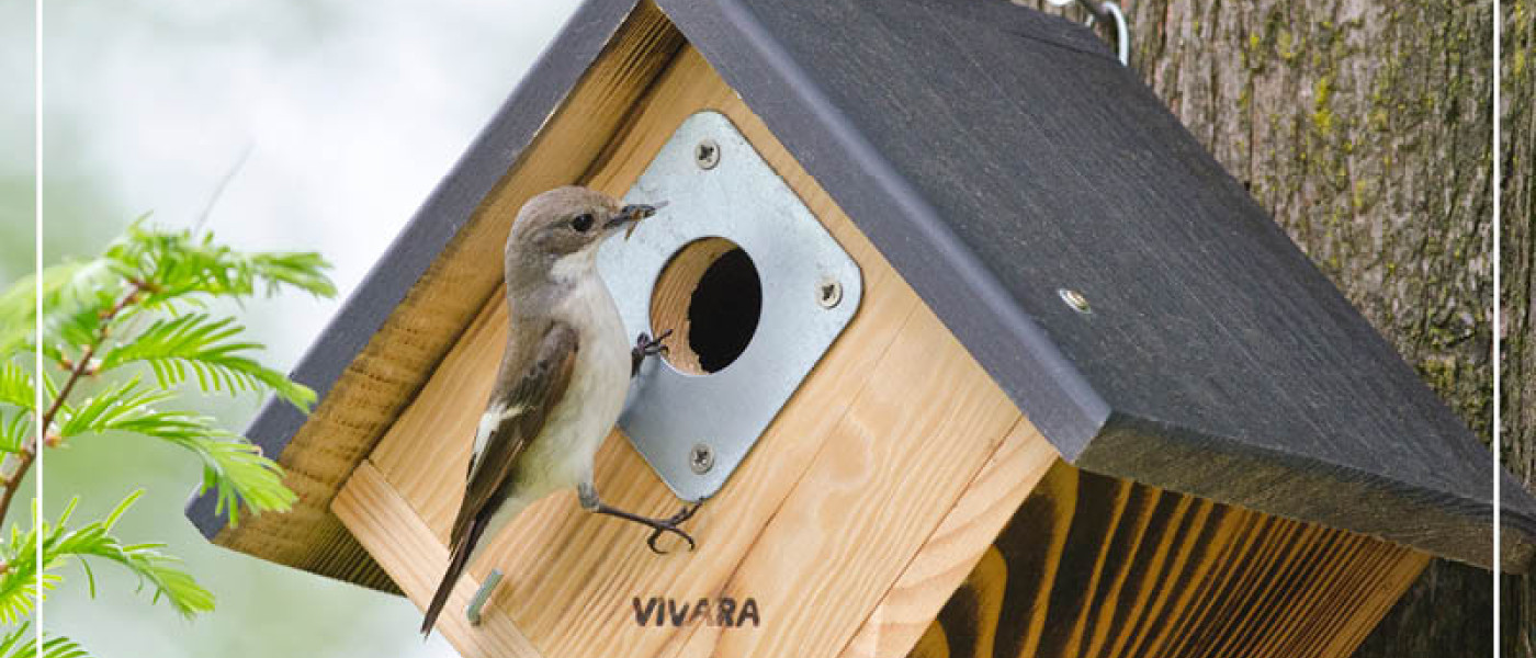 Frühling naht – jetzt Nistkästen aufhängen und Vögeln ein Zuhause bieten!