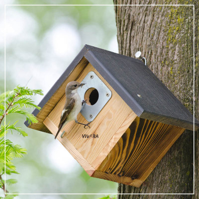 <? $page->title() ?>