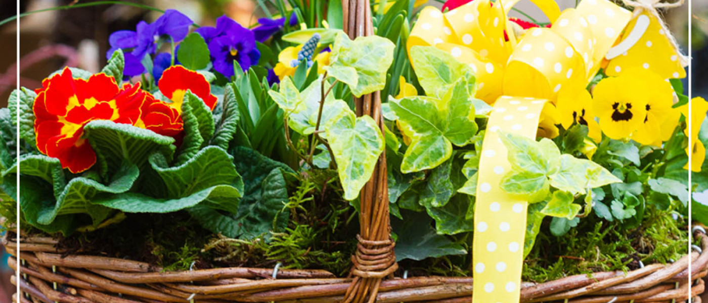 Fr&uuml;hlingserwachen