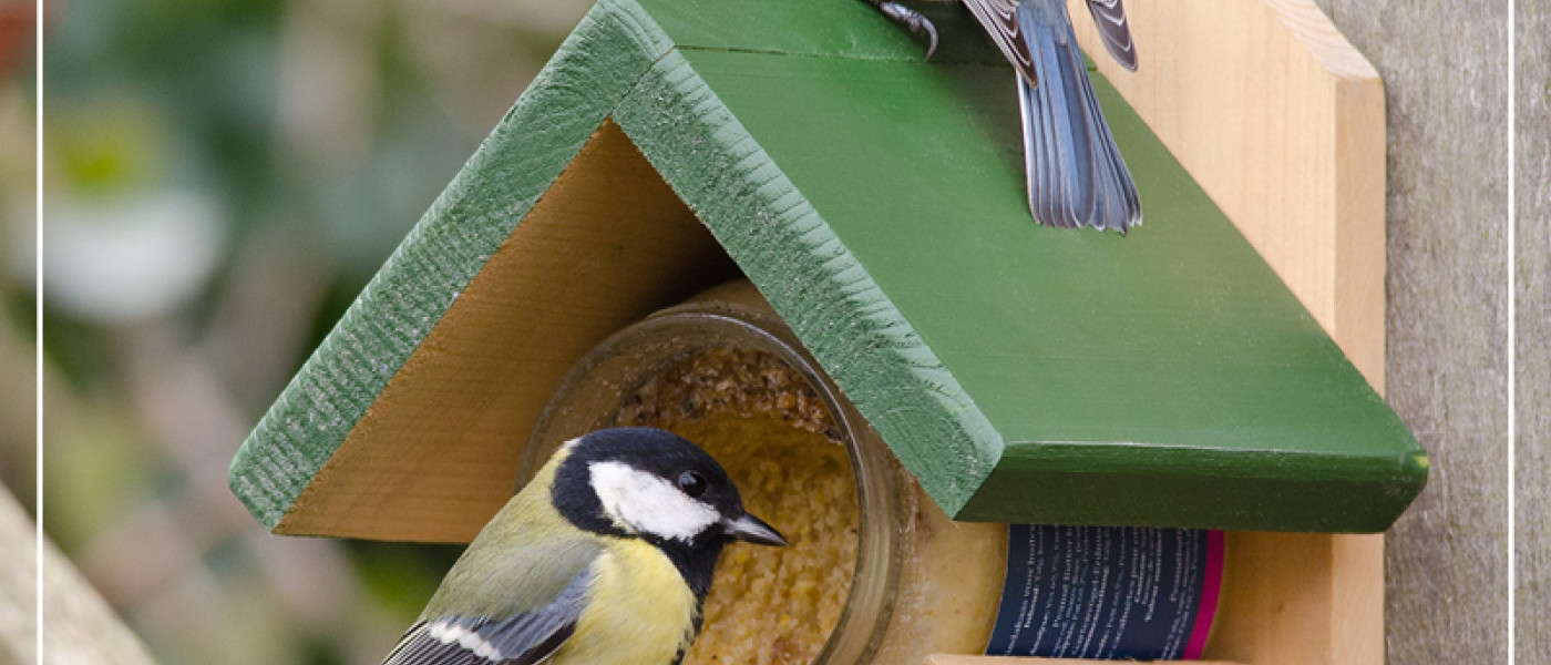 Kisangel Vogelfutterbeutel - 10 Stück Netzsäcke Mit Kordelzug Für Wildvögel