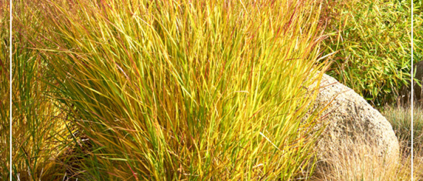 Gartenb&uuml;cher, nicht nur zum Verschenken