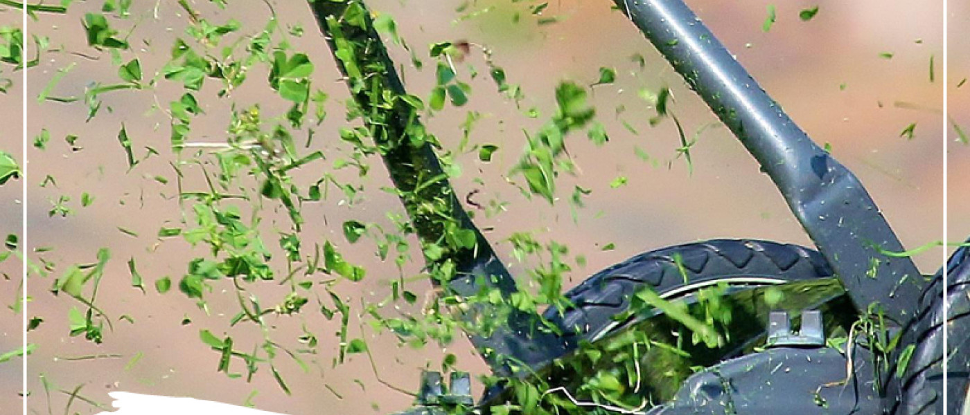 G&ouml;nnen Sie Ihrem Rasen eine Kur!