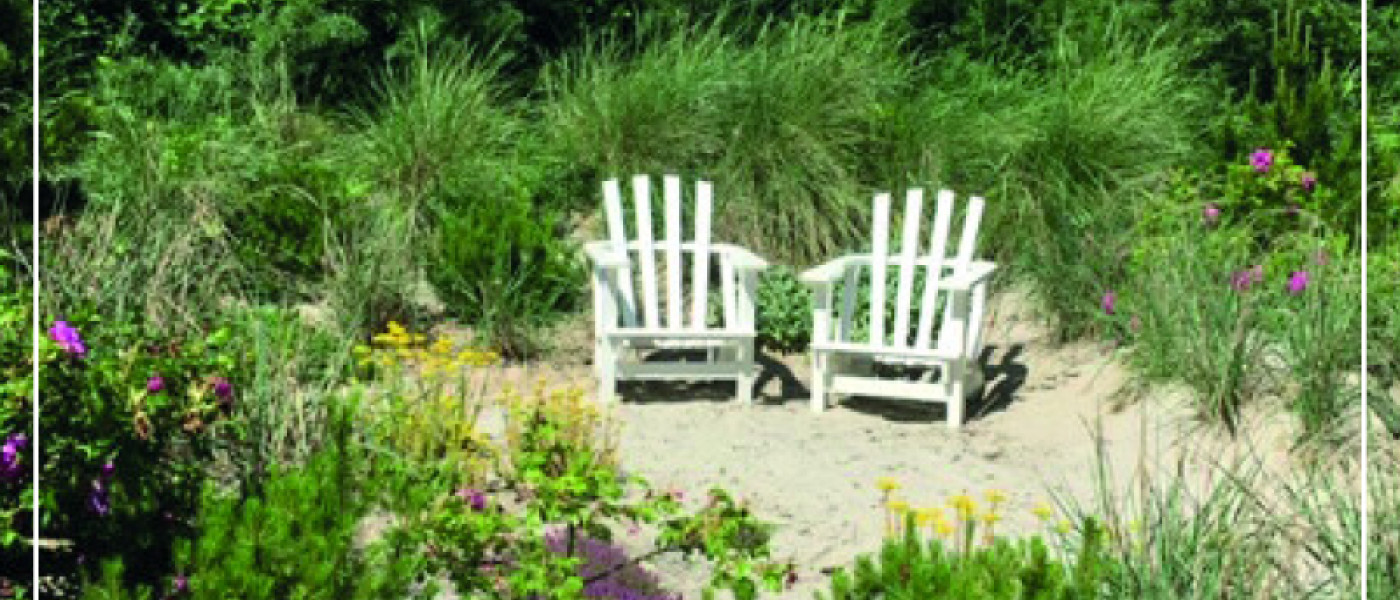 Gr&auml;ser - vielseitig und sch&ouml;n