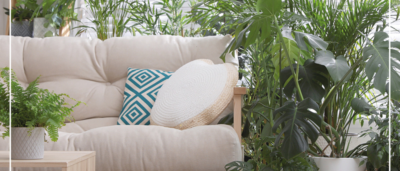 Gr&uuml;ne Pflanzen gegen dicke Luft