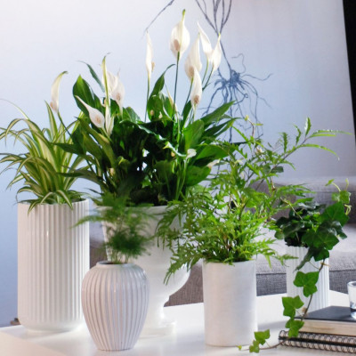 <? $page->title() ?>