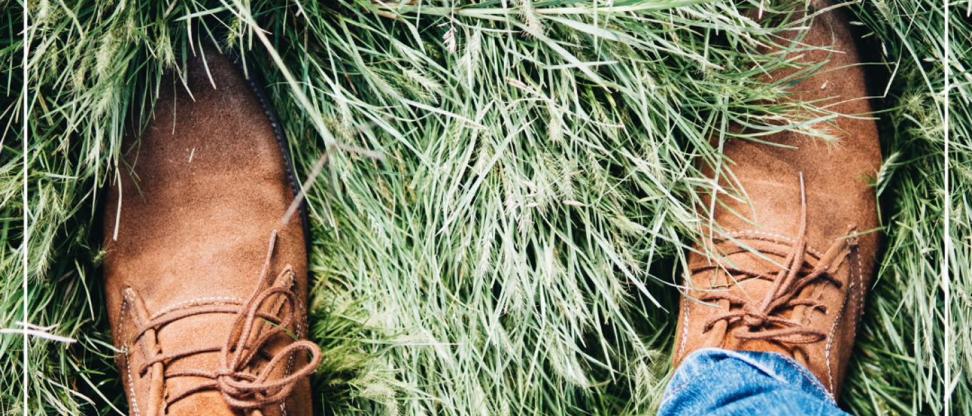 Gr&uuml;ner wird&rsquo;s nicht &ndash; Rasentipps