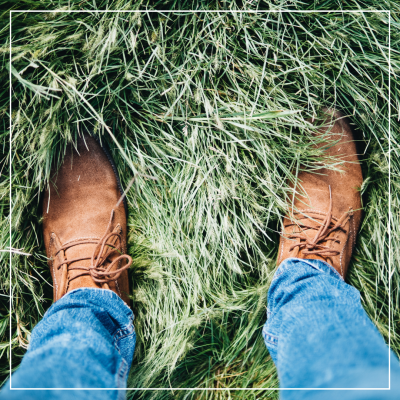 <? $page->title() ?>