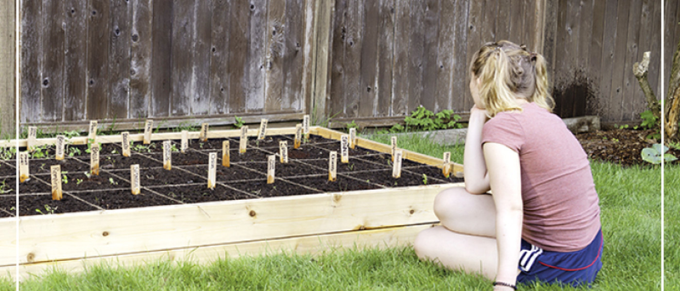 Gute Nachbarn - schlechte Nachbarn